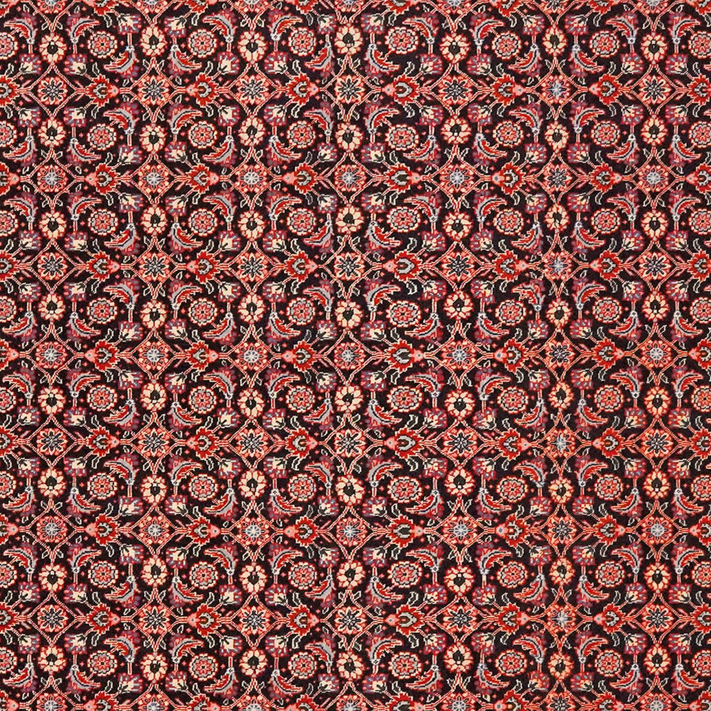 Tabriz 40 Raj — Hand-knotted, 204x299 cm, Black, 100% Virgin Wool | View 4