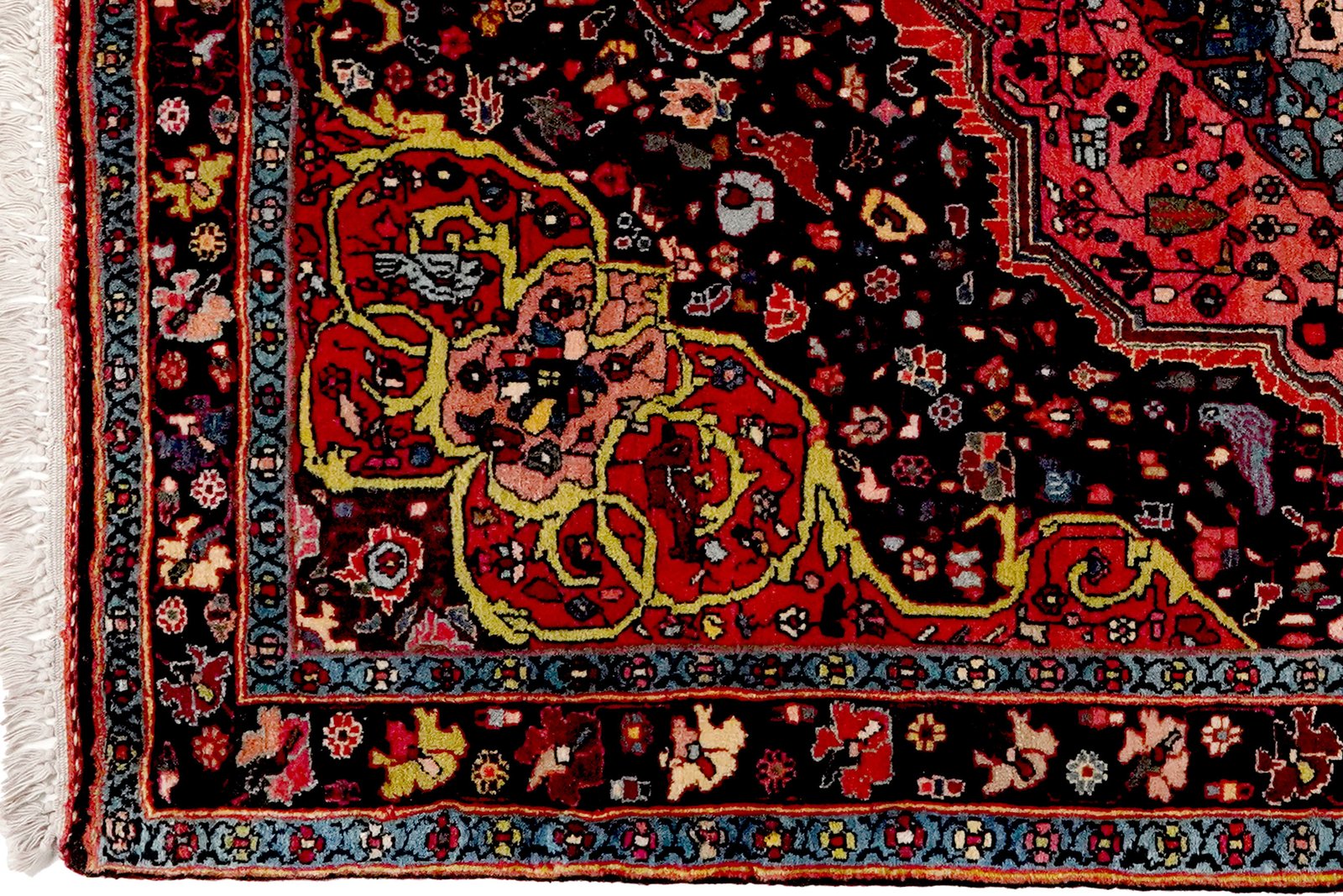 Bidjar — Hand-knotted, 113x159 cm, Blue, 100% Virgin Wool | View 3