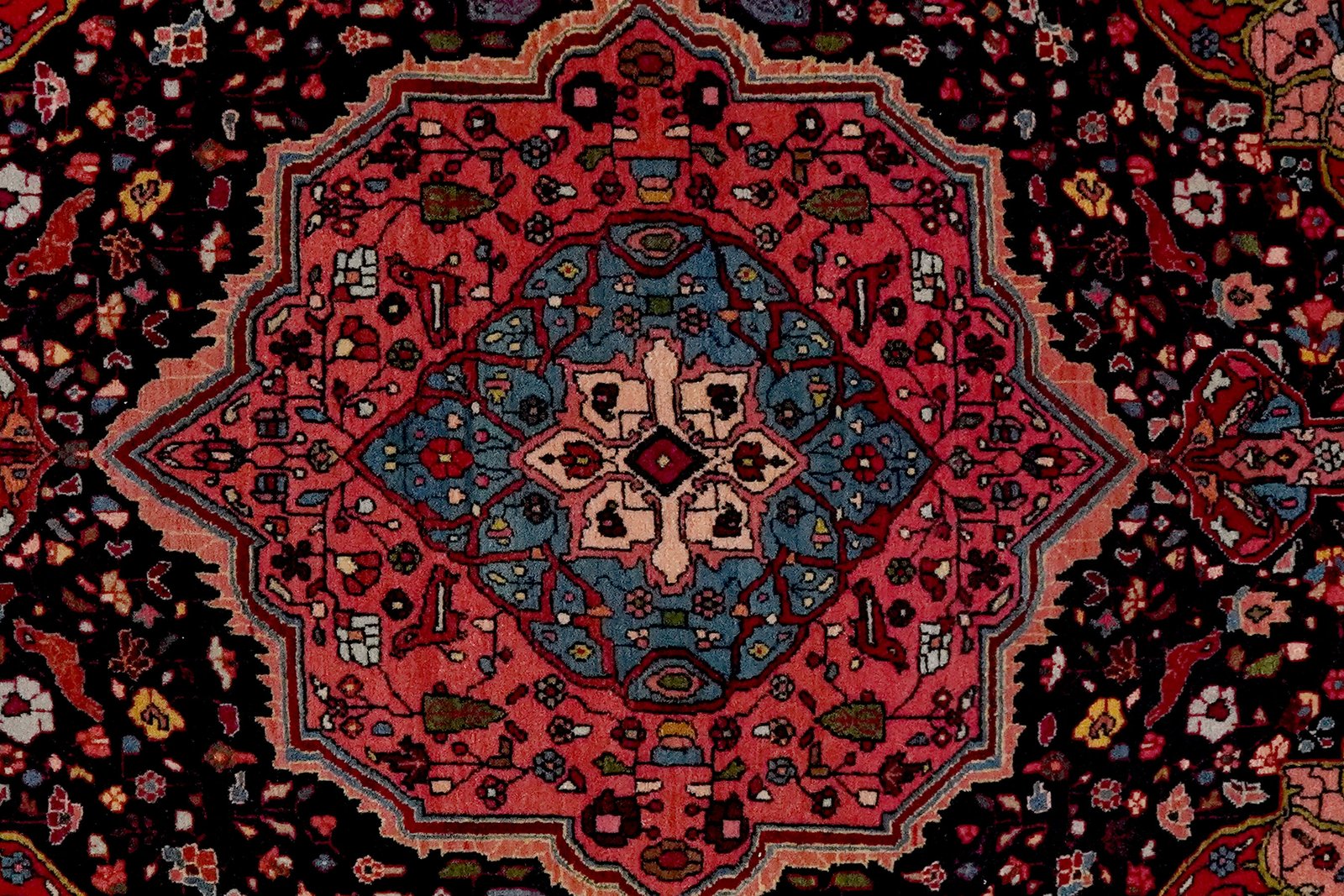 Bidjar — Hand-knotted, 112x159 cm, Blue, 100% Virgin Wool | View 4