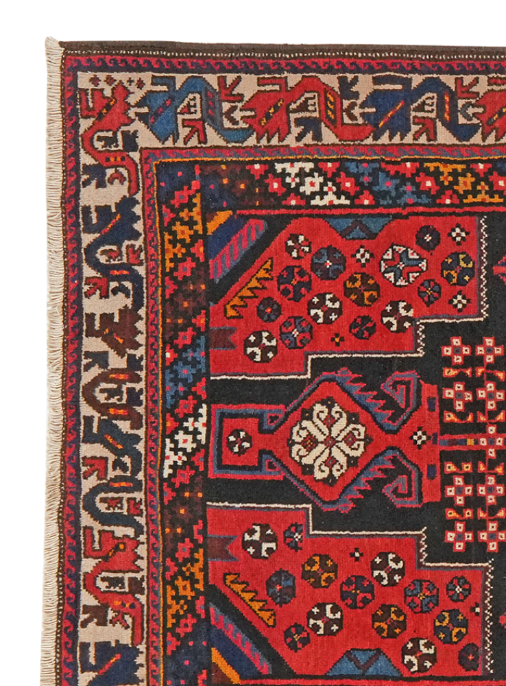 Afshar — Handgefertigt, 225x127 cm, Beige, 100% Virgin Wool | View 4