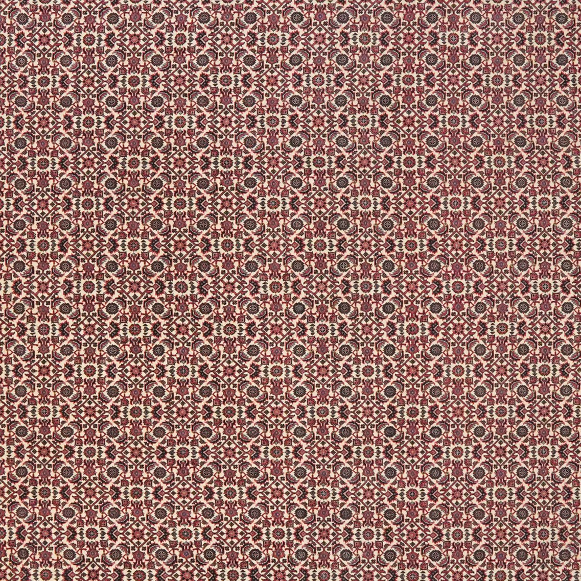 Bidjar — Hand-knotted, 207x248 cm, Beige, 100% Virgin Wool | View 4