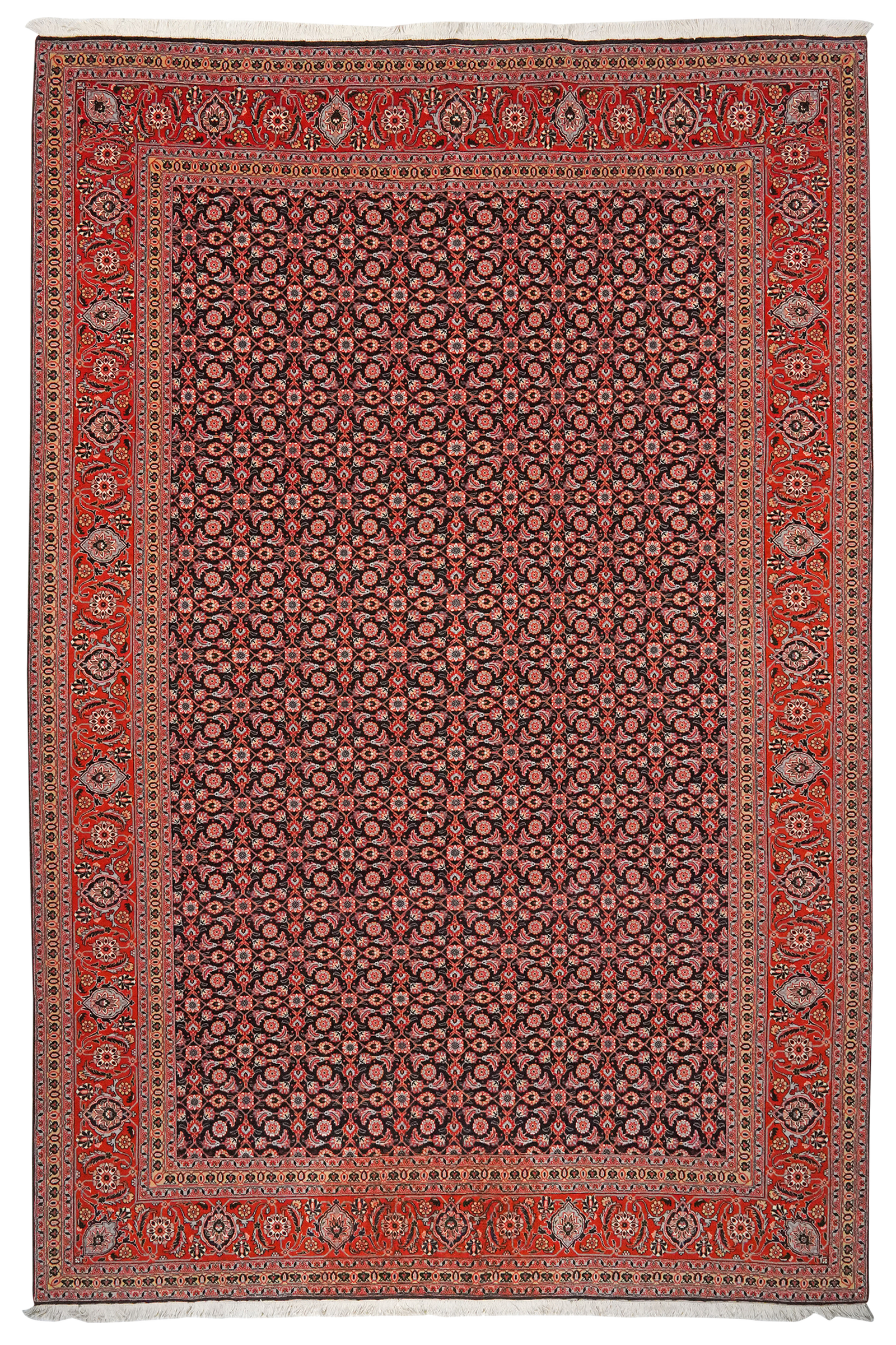 Tabriz 50 Raj — Handgefertigt, 294x199 cm, Rot, 100% Virgin Wool | Main view