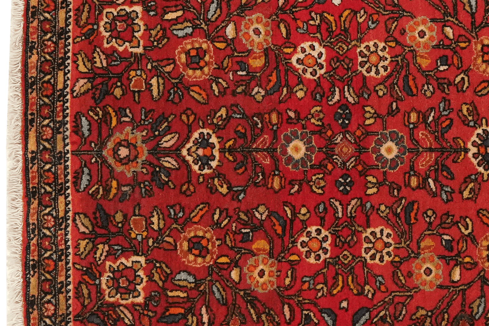 Farahan — Hand-knotted, 57x78 cm, Red, 100% Virgin Wool | View 3