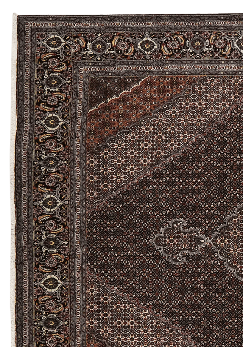 Tabriz 40 Raj — Hand-knotted, 250x350 cm, Black, 100% Virgin Wool | View 3