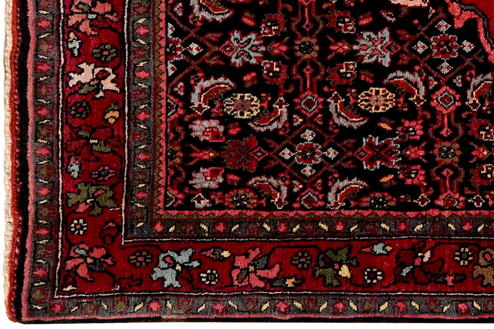 Bidjar — Handgefertigt, 168x110 cm, Rot, 100% Virgin Wool | View 4