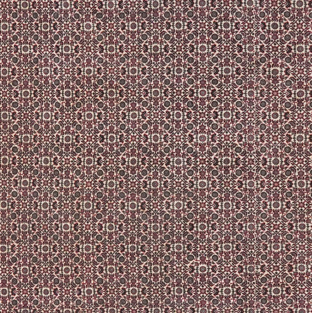 Bidjar — Hand-knotted, 199x389 cm, Beige, 100% Virgin Wool | View 4
