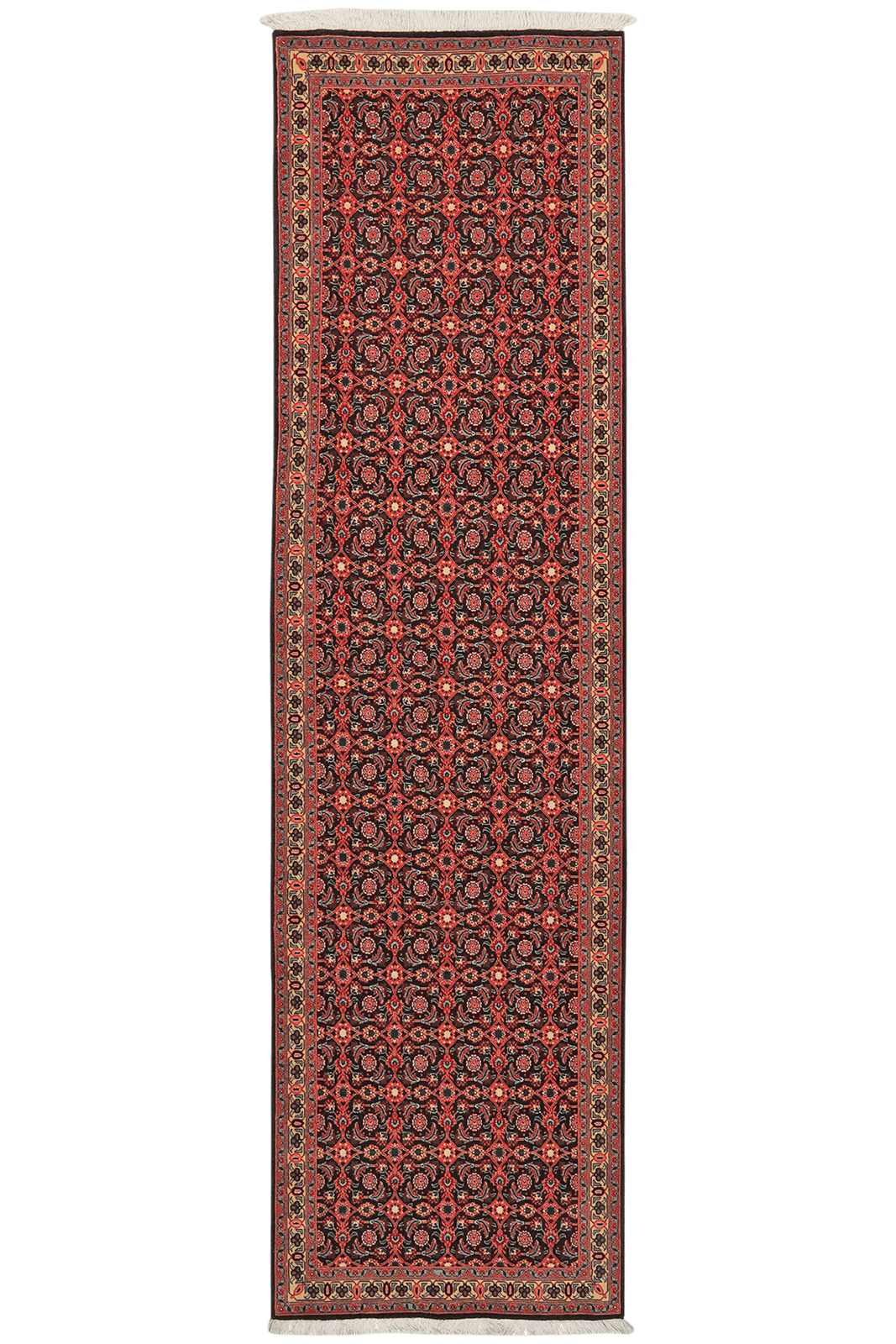 Tabriz 50 Raj — Hand-knotted, 79x293 cm, Orange, 100% Virgin Wool | Main view