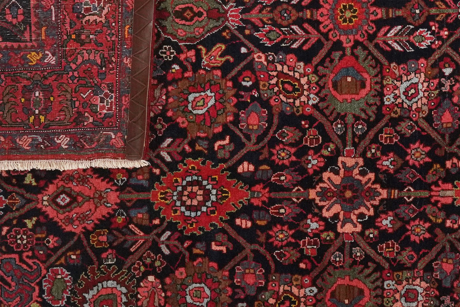 Bidjar — Hand-knotted, 146x212 cm, Blue, 100% Virgin Wool | View 5