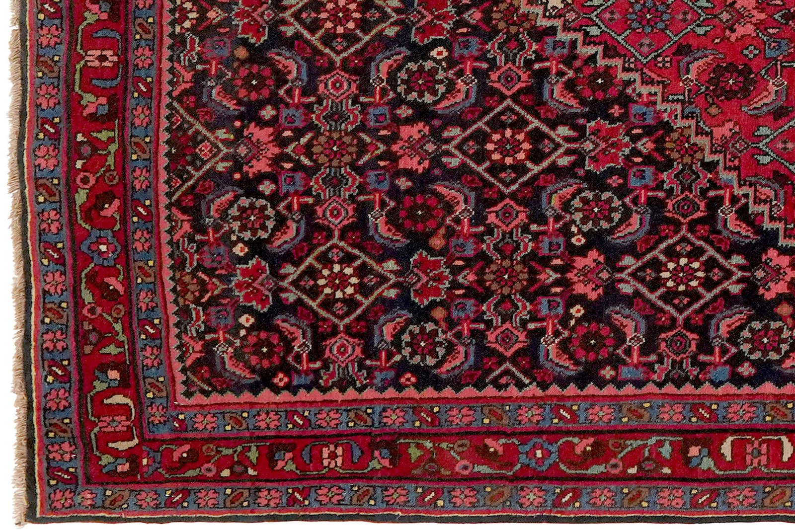 Bidjar — Hand-knotted, 121x158 cm, Blue, 100% Virgin Wool | View 3