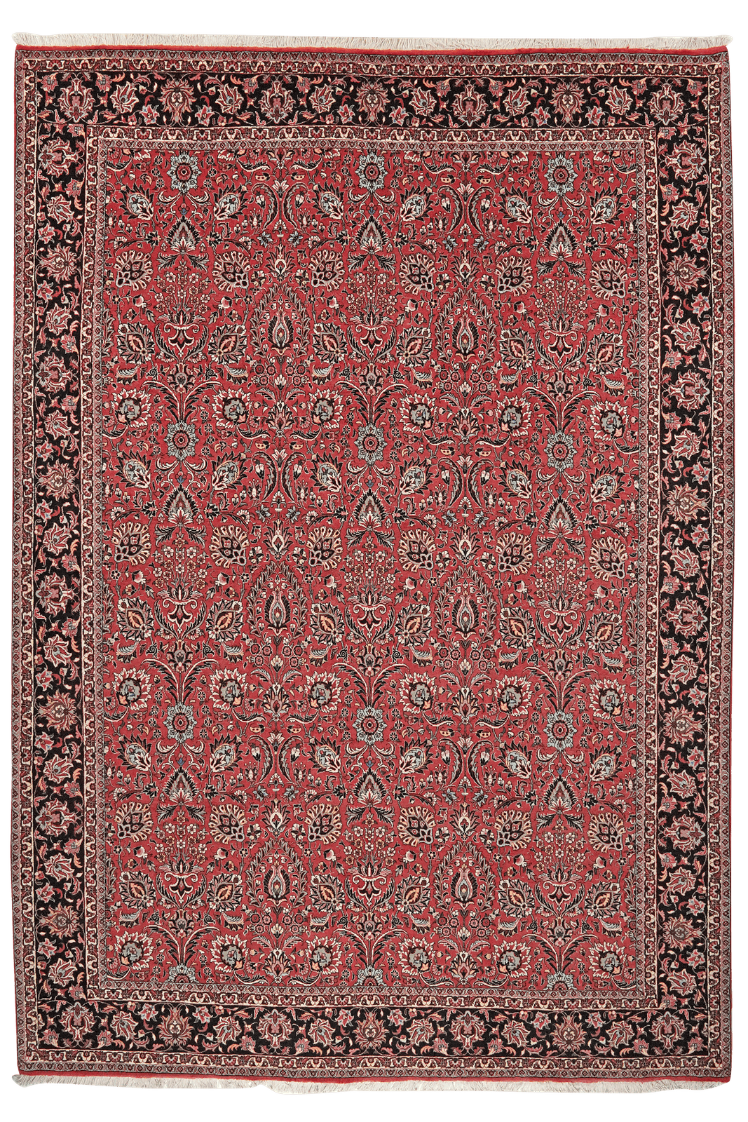 Bidjar — Hand-knotted, 207x296 cm, Red, 100% Virgin Wool | Main view