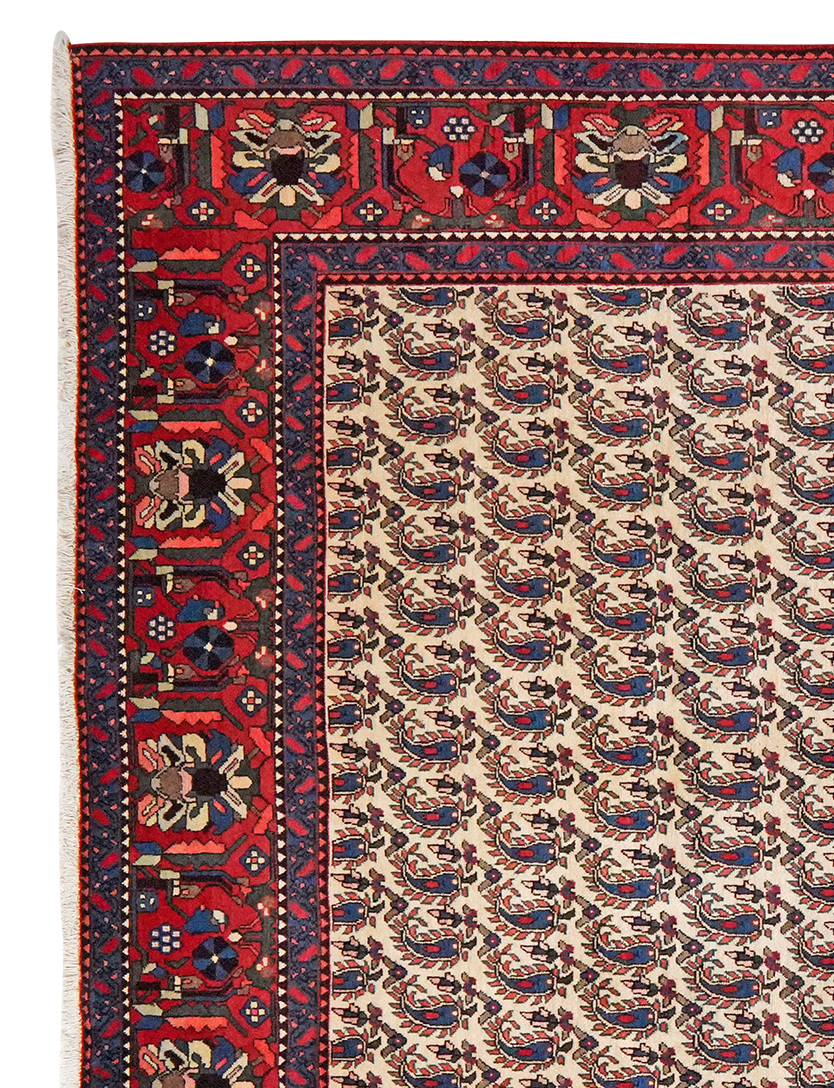 Abadeh — Handgefertigt, 301x202 cm, Rot, 100% Virgin Wool | View 4