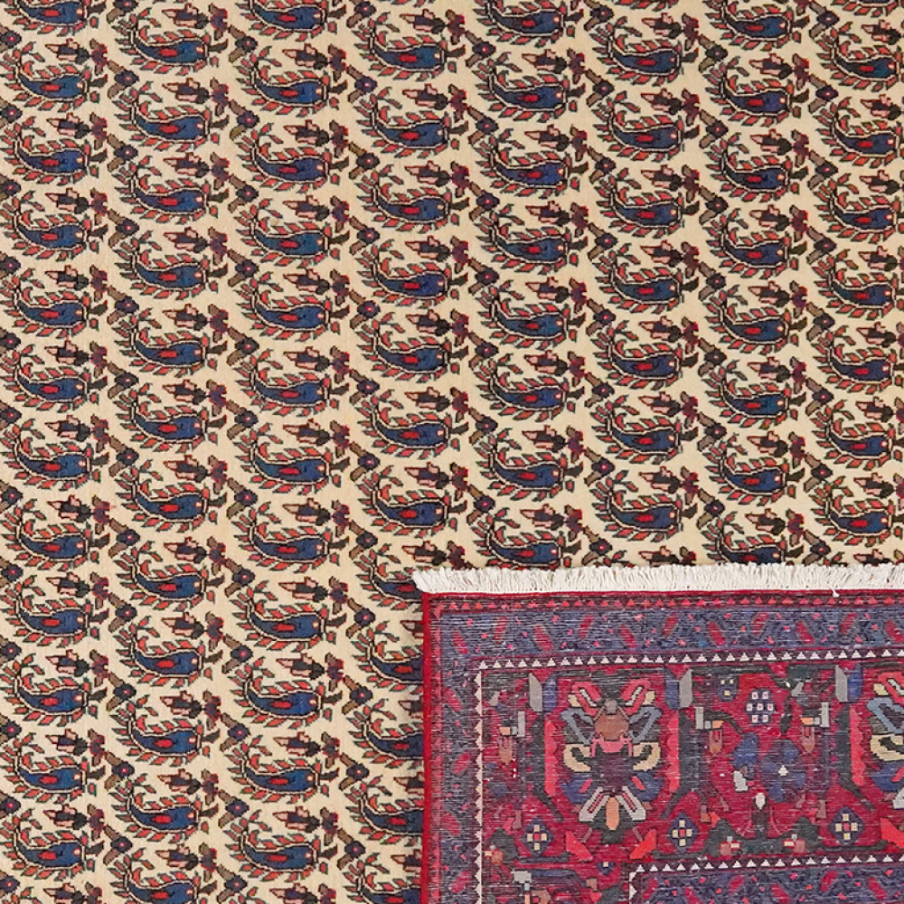 Abadeh — Handgefertigt, 301x202 cm, Rot, 100% Virgin Wool | View 7