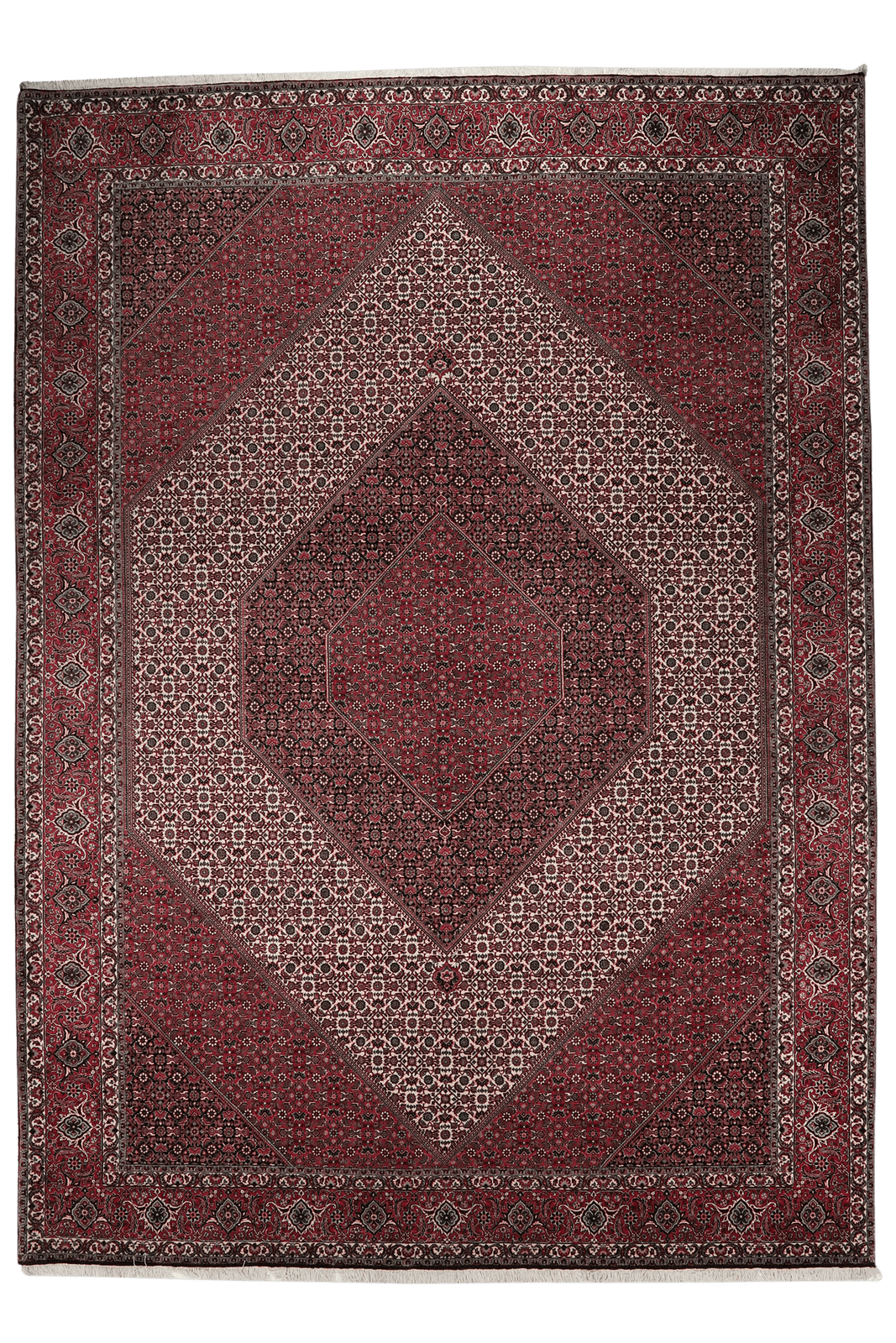 Bidjar — Hand-knotted, 254x355 cm, Red, 100% Virgin Wool | Main view
