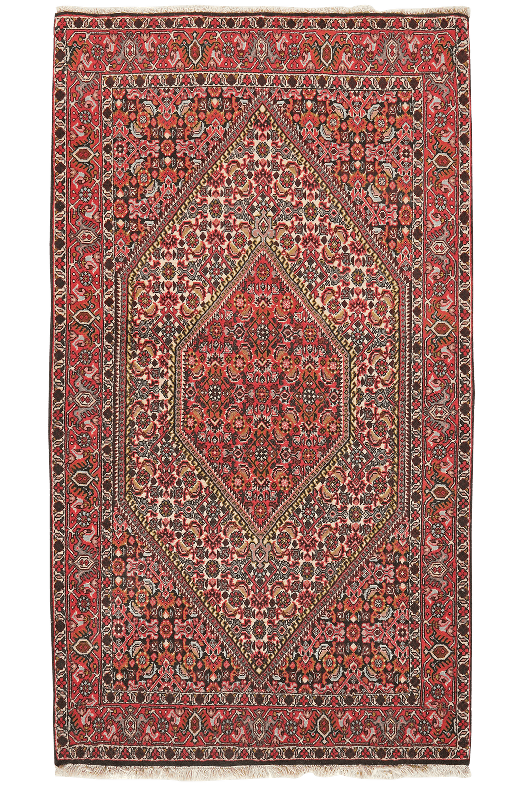 Bidjar Tekkab — Hand-knotted, 91x163 cm, Beige, 100% Virgin Wool | Main view