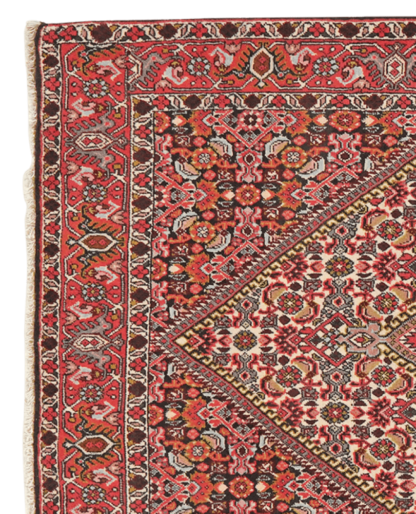 Bidjar Tekkab — Hand-knotted, 91x163 cm, Beige, 100% Virgin Wool | View 3