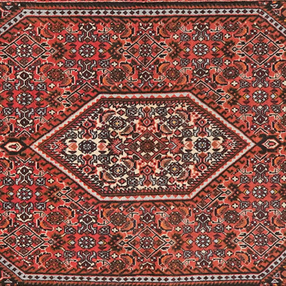 Bidjar Tekkab — Hand-knotted, 91x161 cm, Red, 100% Virgin Wool | View 4