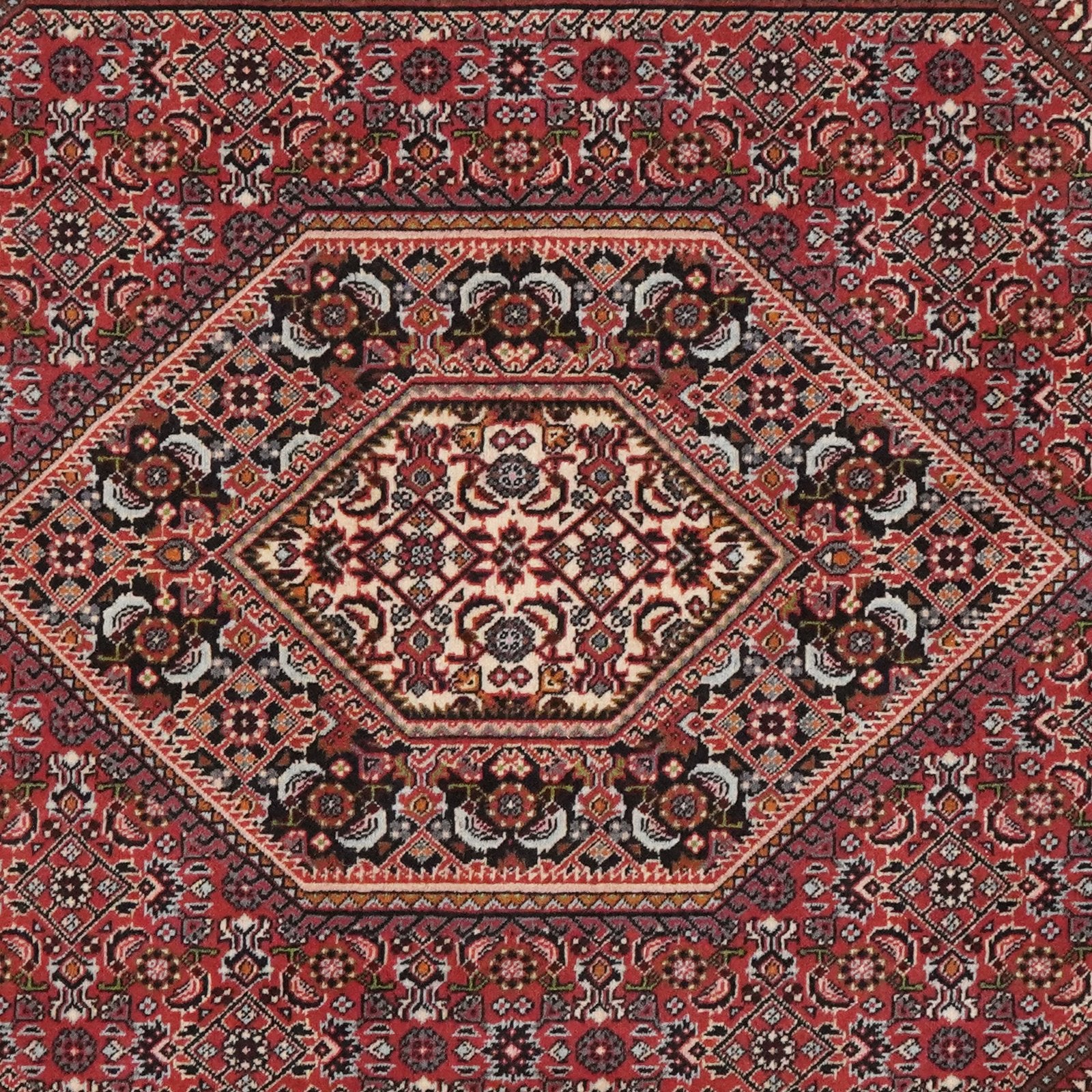 Bidjar — Hand-knotted, 111x185 cm, Red, 100% Virgin Wool | View 6