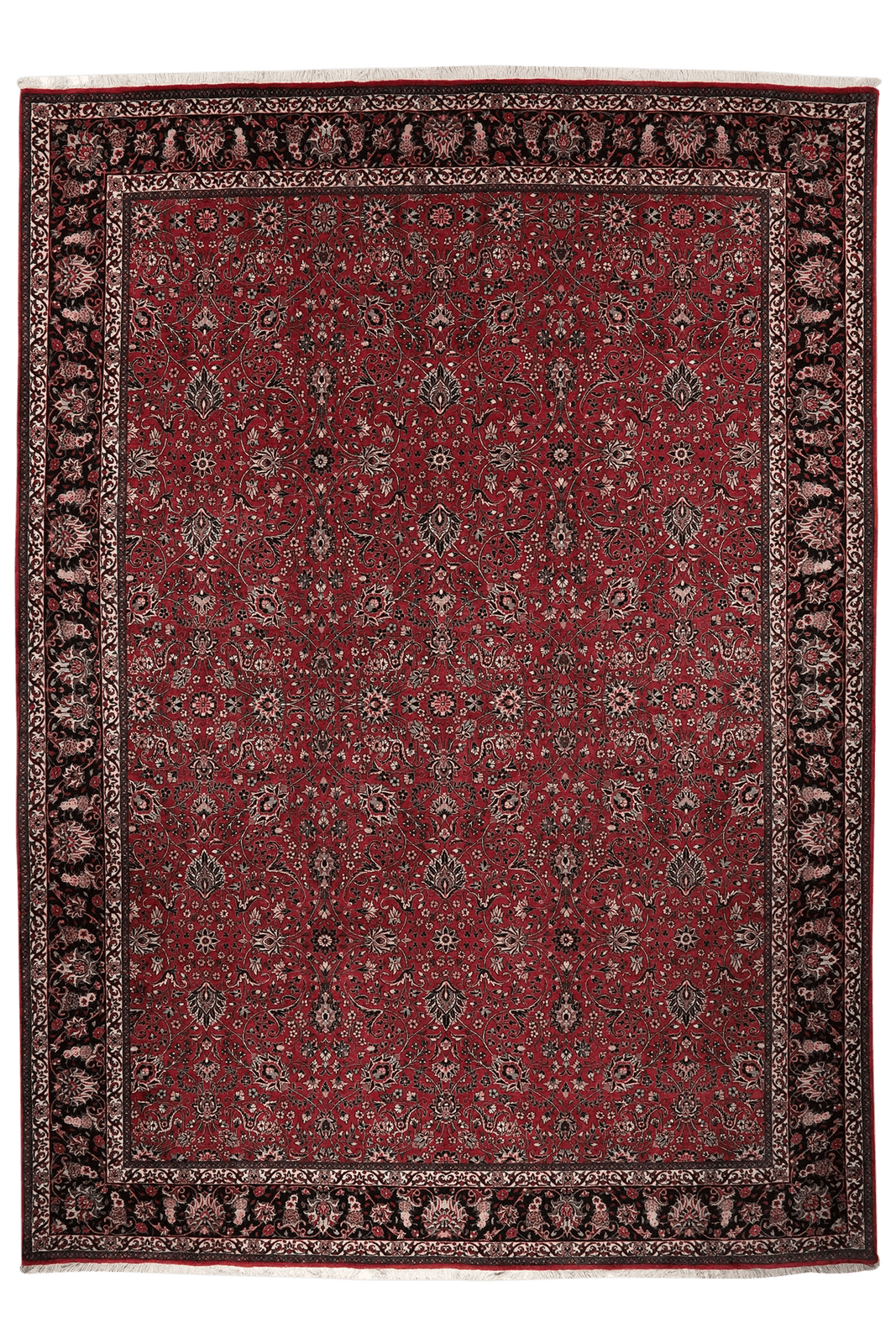 Bidjar Bookan — Hand-knotted, 256x355 cm, Red, 100% Virgin Wool | Main view