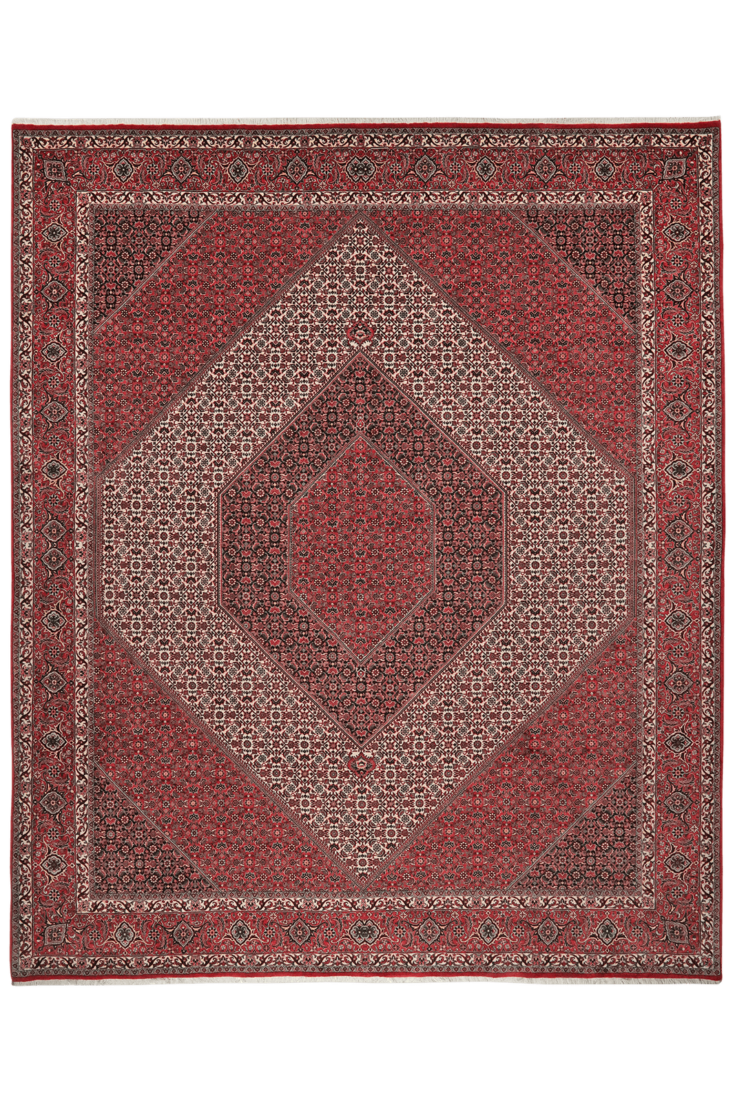 Bidjar — Hand-knotted, 258x311 cm, Beige, 100% Virgin Wool | Main view
