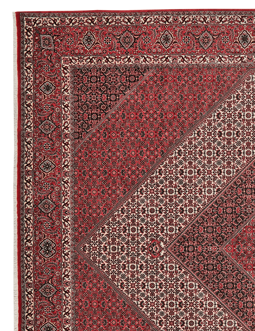Bidjar — Hand-knotted, 258x311 cm, Beige, 100% Virgin Wool | View 3