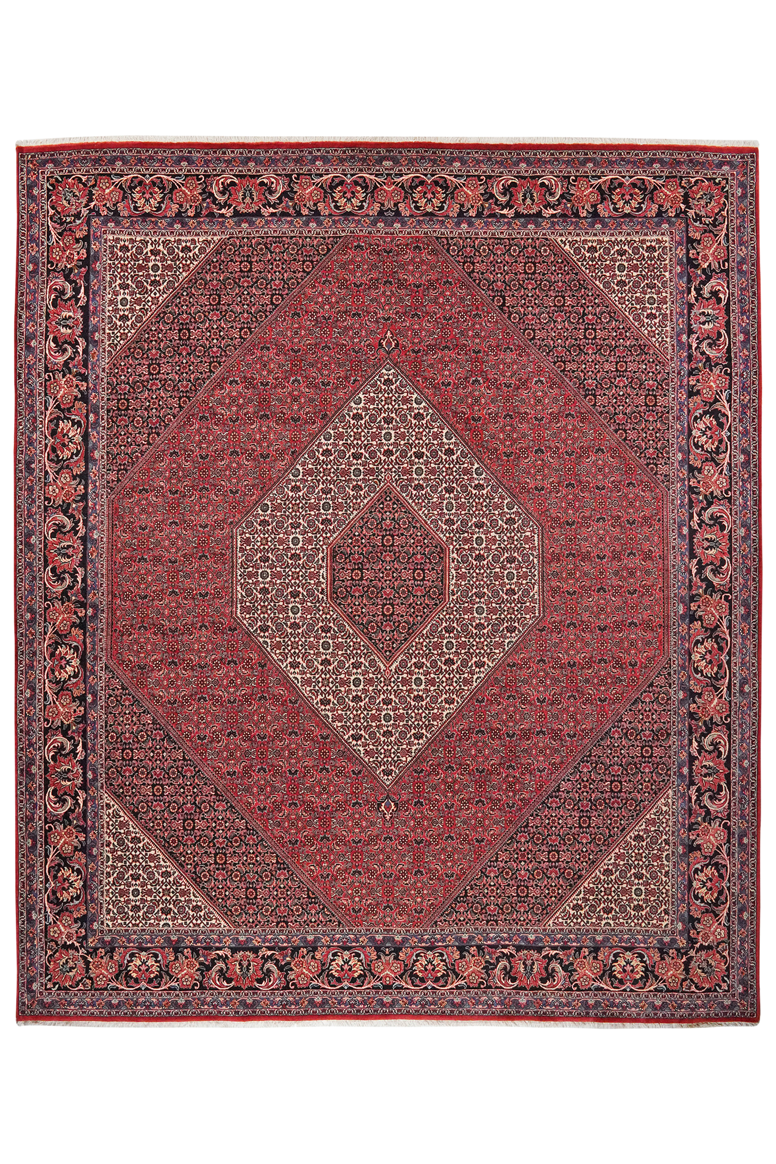 Bidjar — Handgefertigt, 299x255 cm, Blau, 100% Virgin Wool | Main view