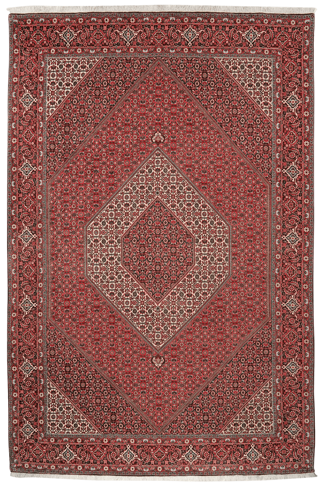 Bidjar — Hand-knotted, 207x308 cm, Red, 100% Virgin Wool | Main view