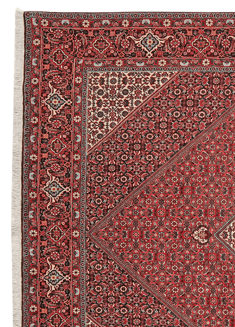 Bidjar — Hand-knotted, 207x308 cm, Red, 100% Virgin Wool | View 3