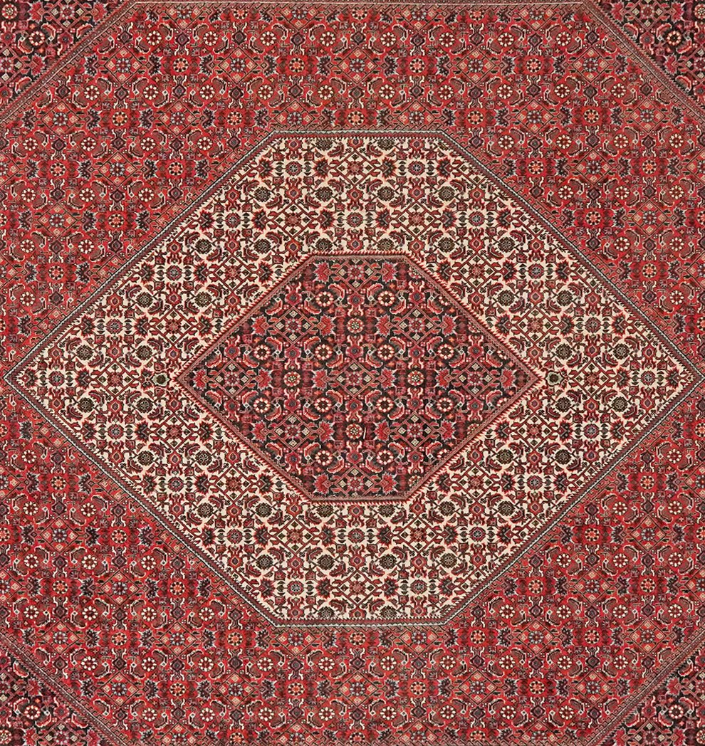 Bidjar — Hand-knotted, 207x308 cm, Red, 100% Virgin Wool | View 4
