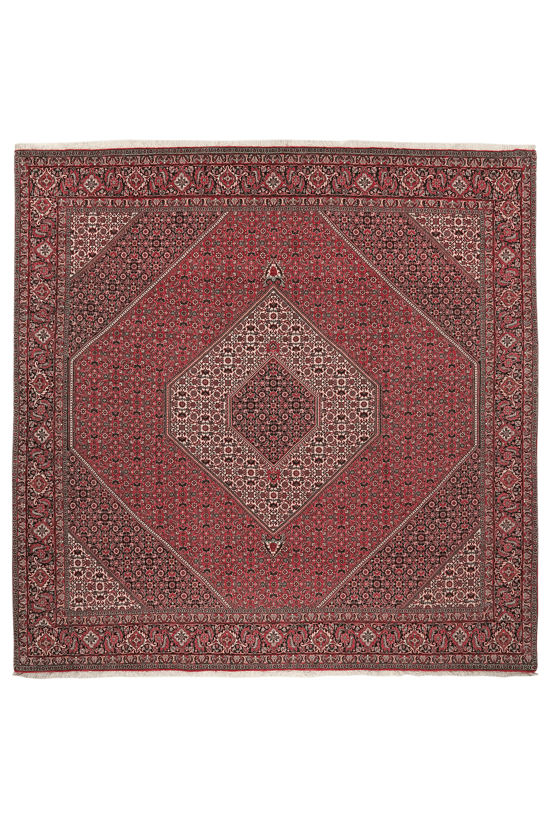 Bidjar — Hand-knotted, 248x248 cm, Red, 100% Virgin Wool | Main view