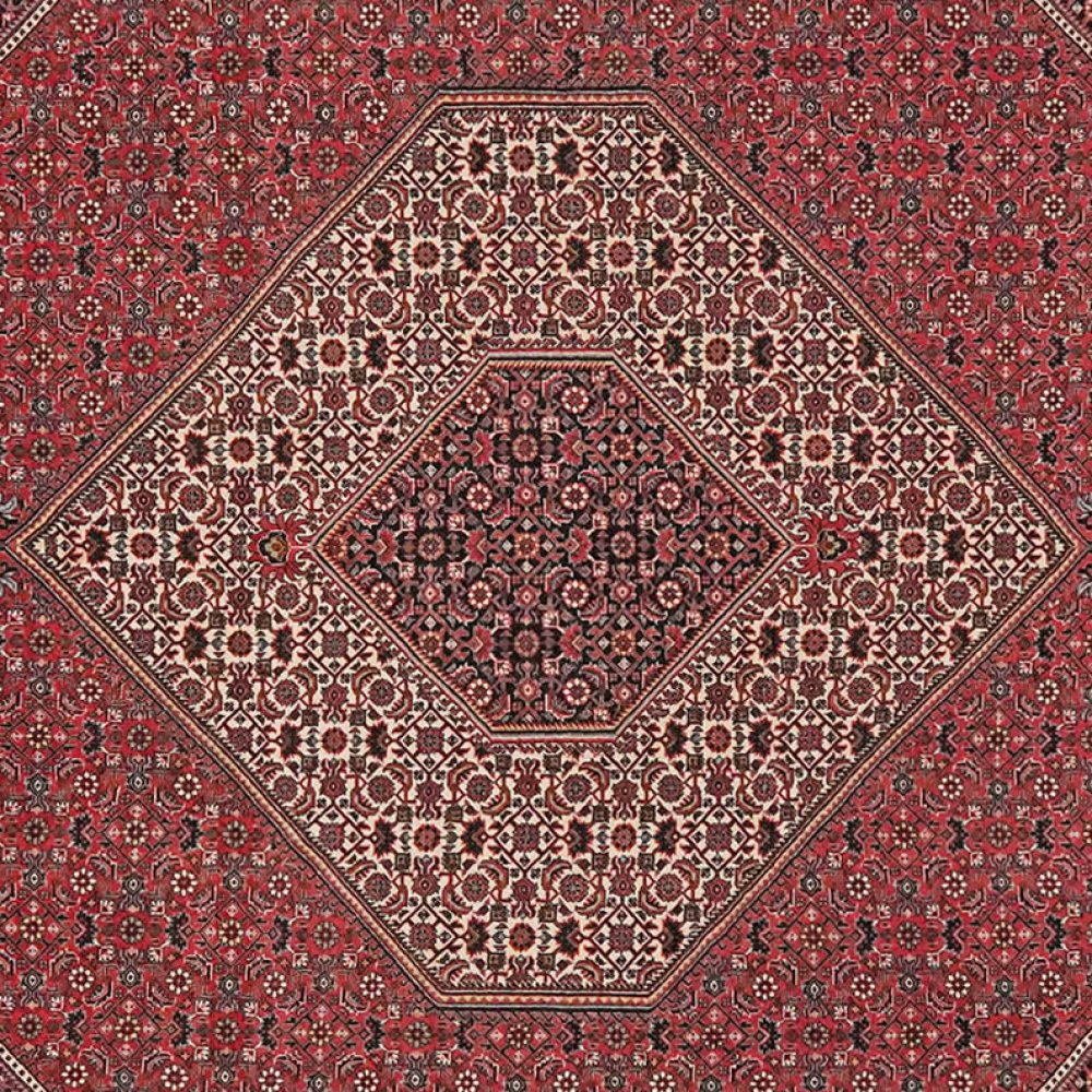 Bidjar — Hand-knotted, 248x248 cm, Red, 100% Virgin Wool | View 4