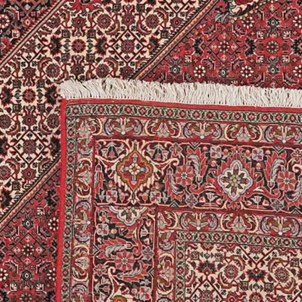 Bidjar — Hand-knotted, 248x248 cm, Red, 100% Virgin Wool | View 6