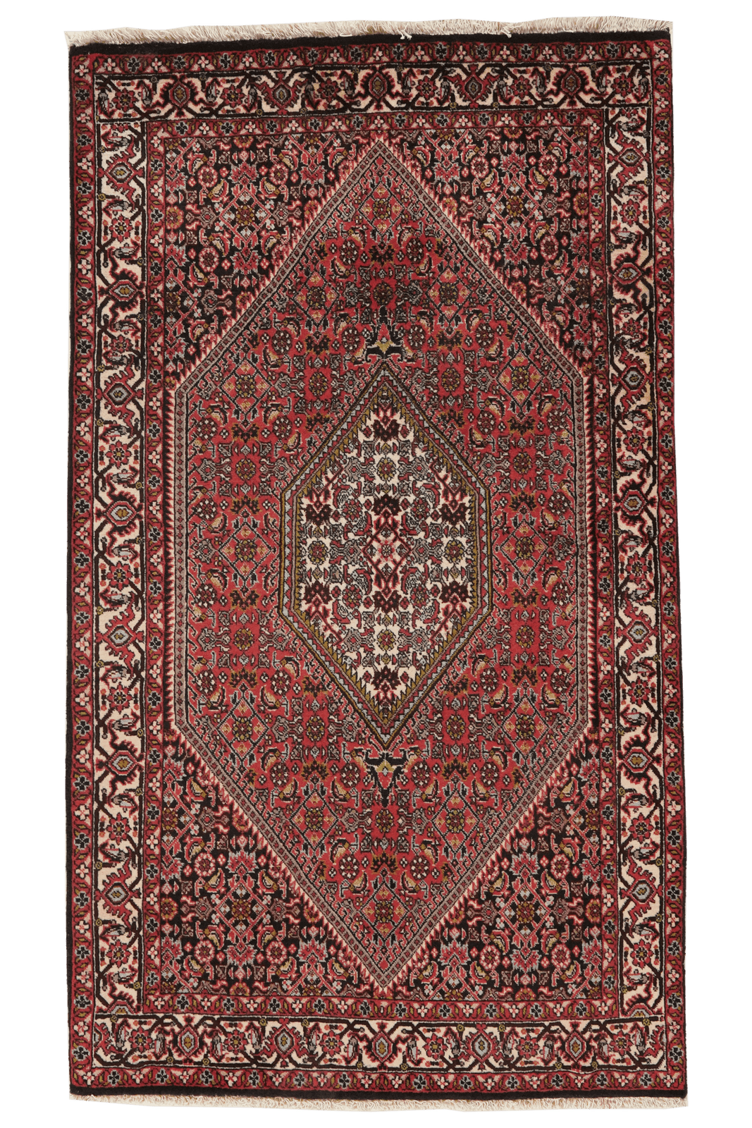 Bidjar Tekkab — Hand-knotted, 87x155 cm, Red, 100% Virgin Wool | Main view