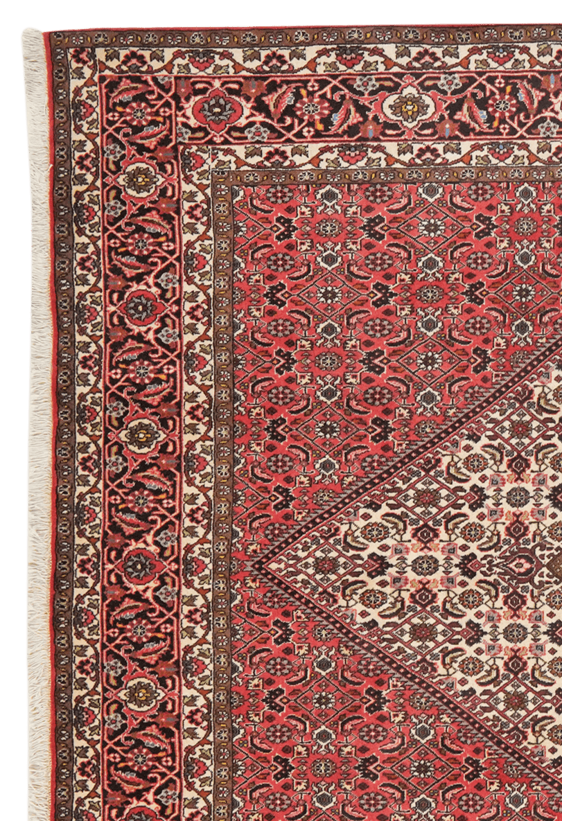 Bidjar — Hand-knotted, 200x247 cm, Beige, 100% Virgin Wool | View 3