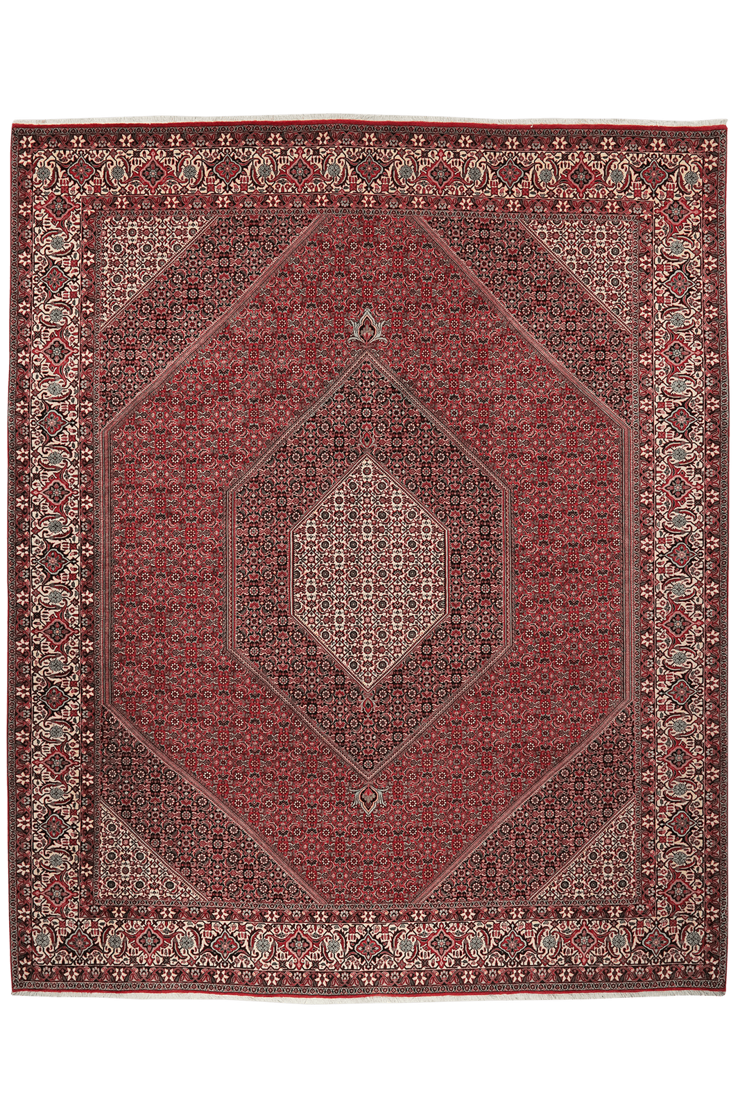 Bidjar — Hand-knotted, 254x308 cm, Red, 100% Virgin Wool | Main view