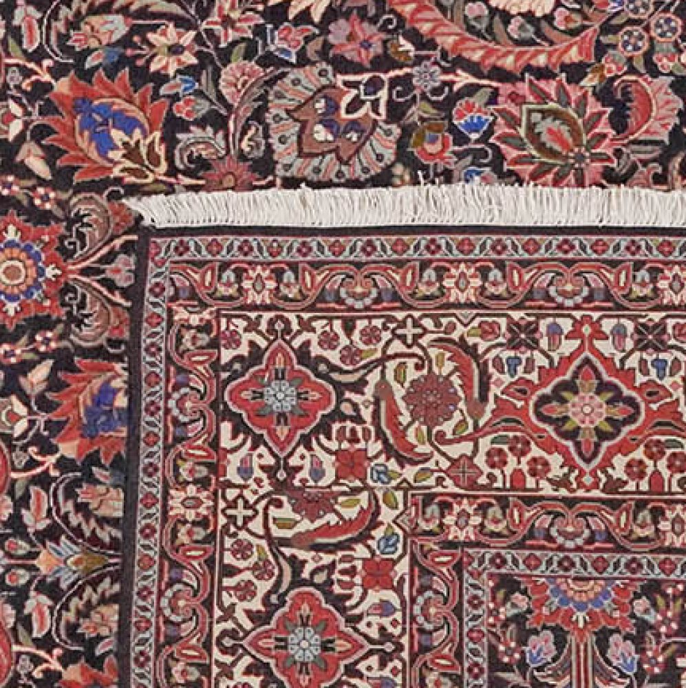 Bidjar — Hand-knotted, 256x250 cm, Blue, 100% Virgin Wool | View 6