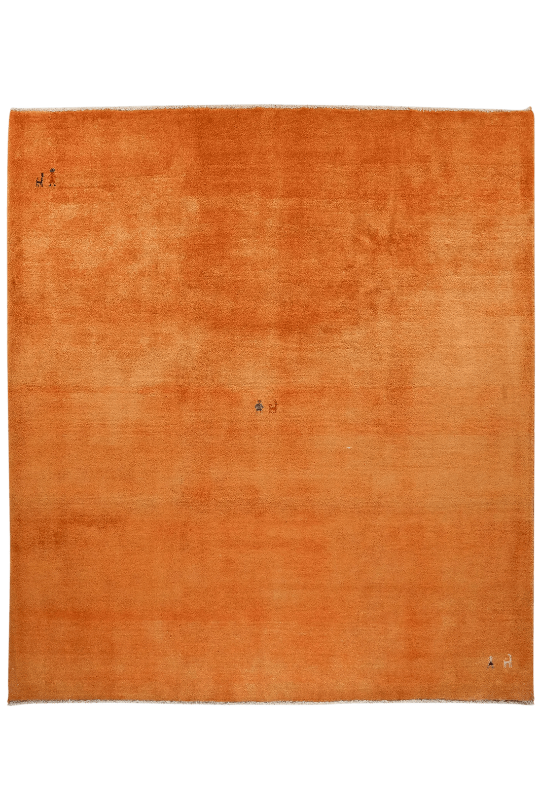 Gabbeh — Hand-knotted, 247x275 cm, Orange, 100% Virgin Wool | Main view