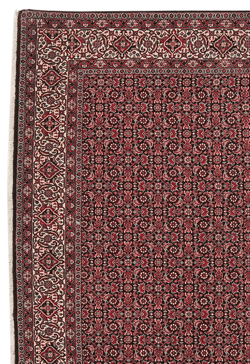 Bidjar Bookan — Hand-knotted, 204x204 cm, Blue, 95% Schurwolle, 5% Seide | View 3