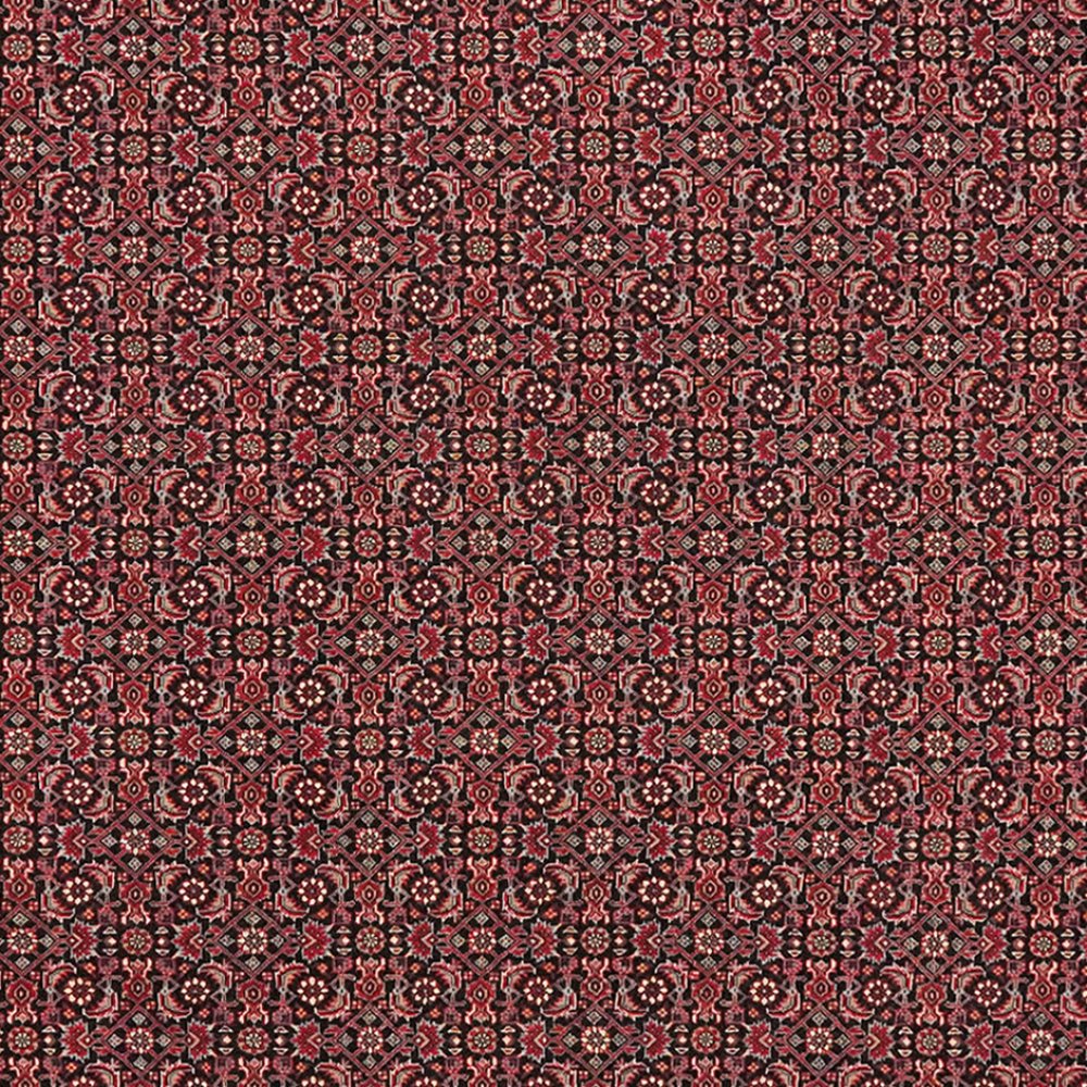 Bidjar Bookan — Hand-knotted, 204x204 cm, Blue, 95% Schurwolle, 5% Seide | View 4