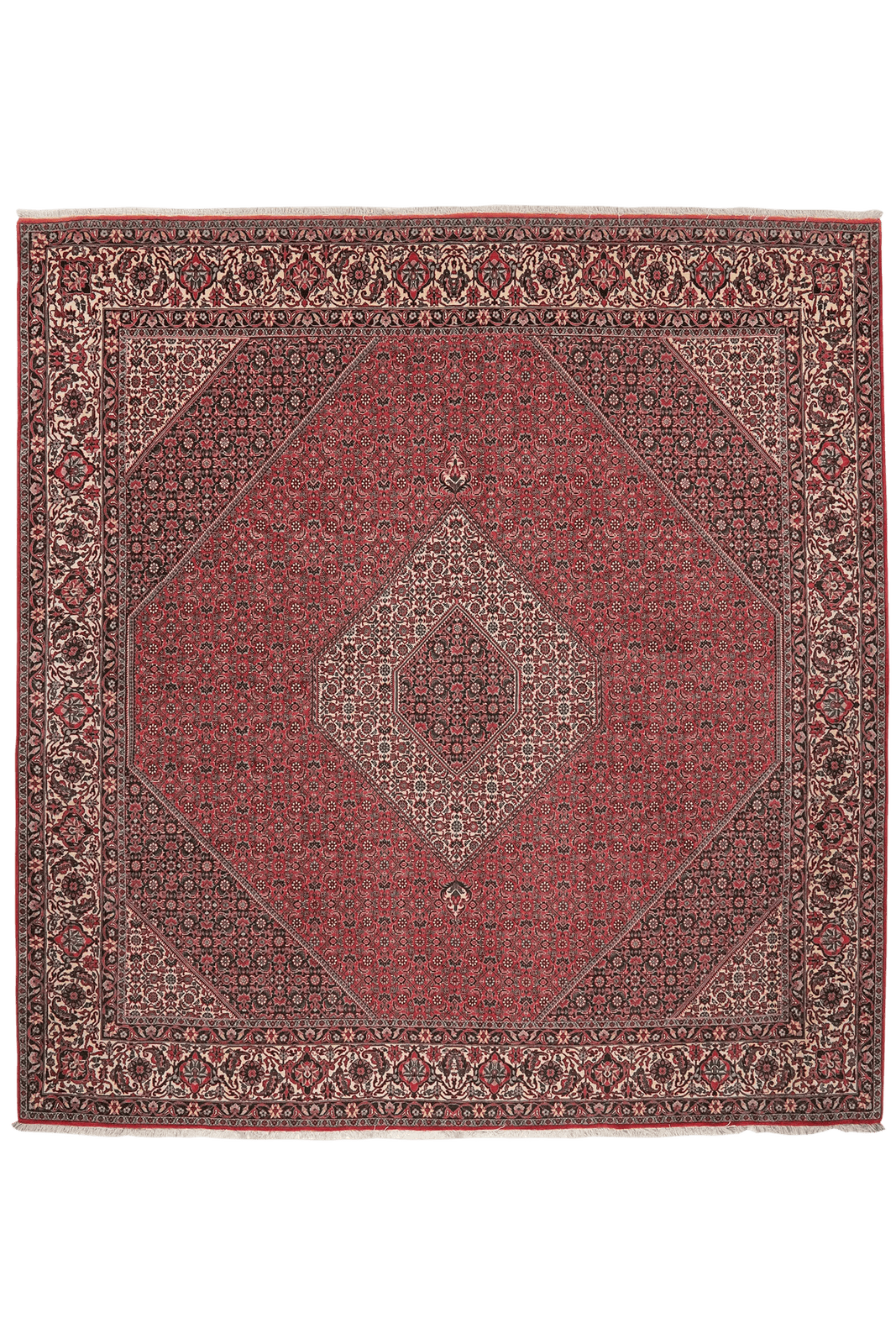 Bidjar — Hand-knotted, 254x268 cm, Red, 100% Virgin Wool | Main view