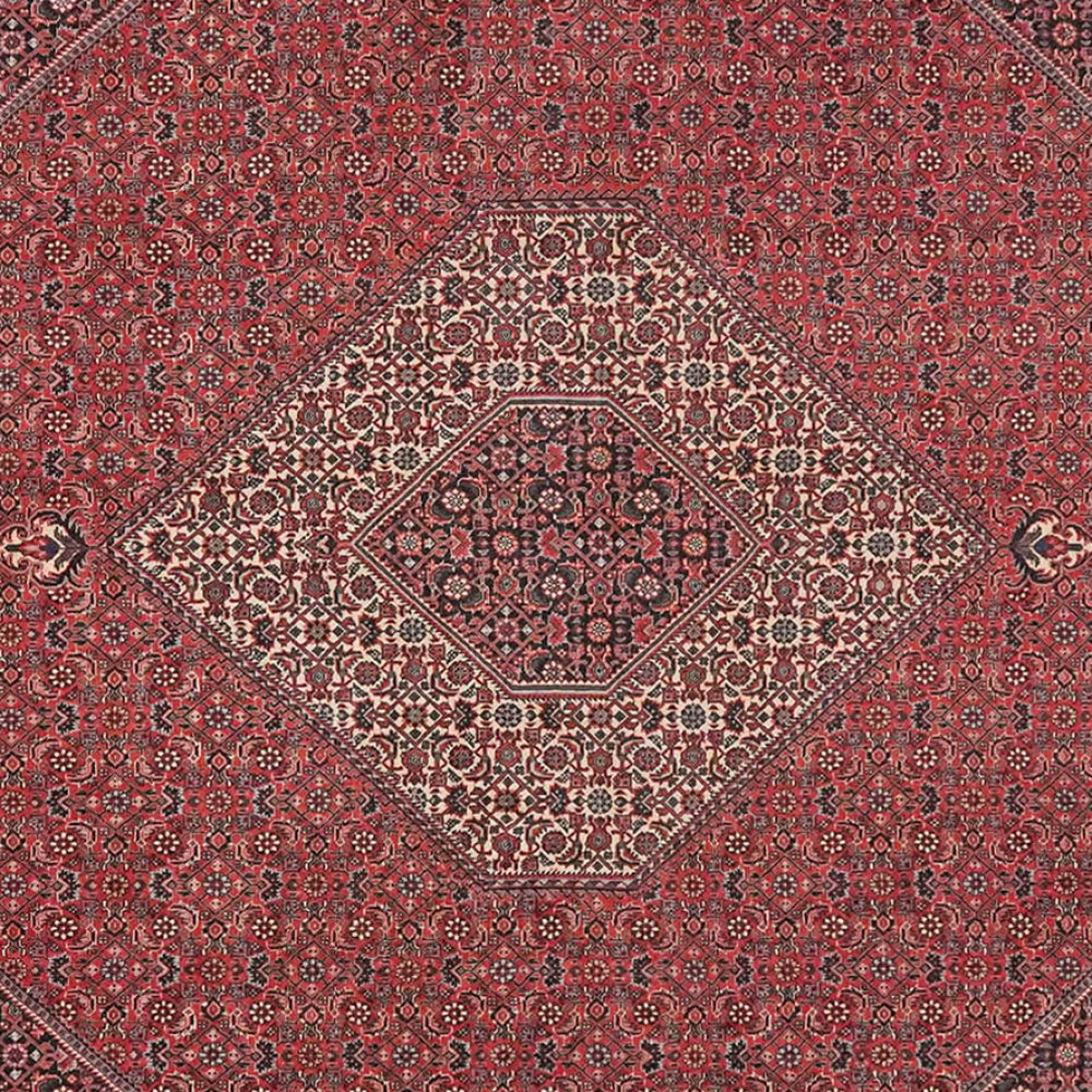 Bidjar — Hand-knotted, 254x268 cm, Red, 100% Virgin Wool | View 4