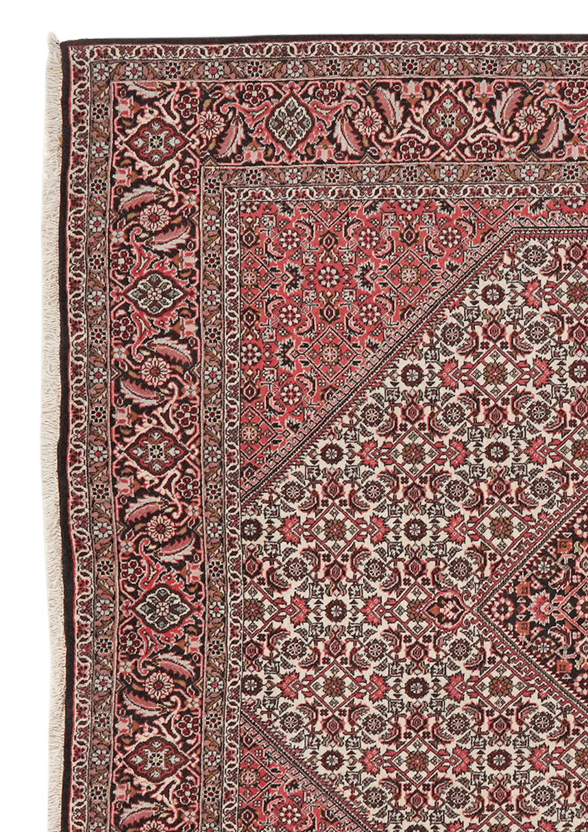 Bidjar Zandjan — Hand-knotted, 202x197 cm, Beige, 100% Virgin Wool | View 3
