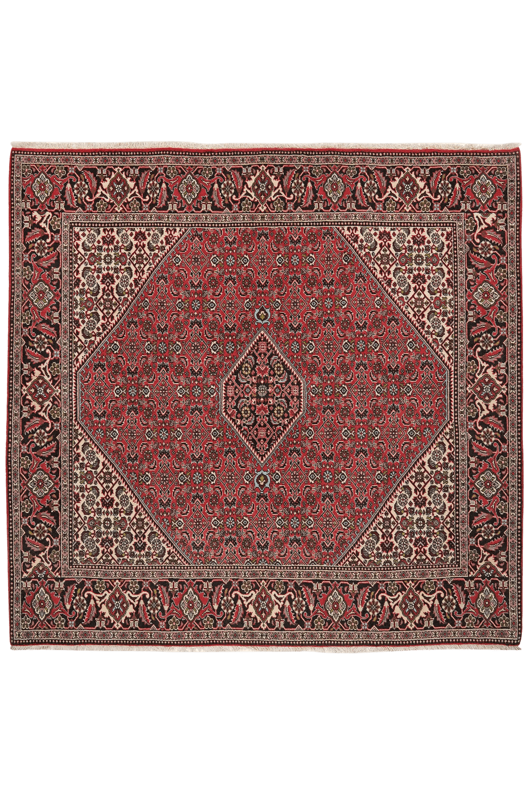 Bidjar Zandjan — Hand-knotted, 202x197 cm, Red, 100% Virgin Wool | Main view