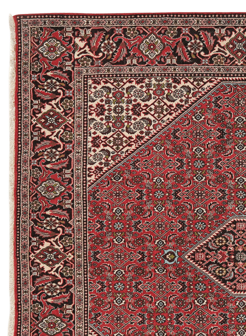 Bidjar Zandjan — Hand-knotted, 202x197 cm, Red, 100% Virgin Wool | View 3