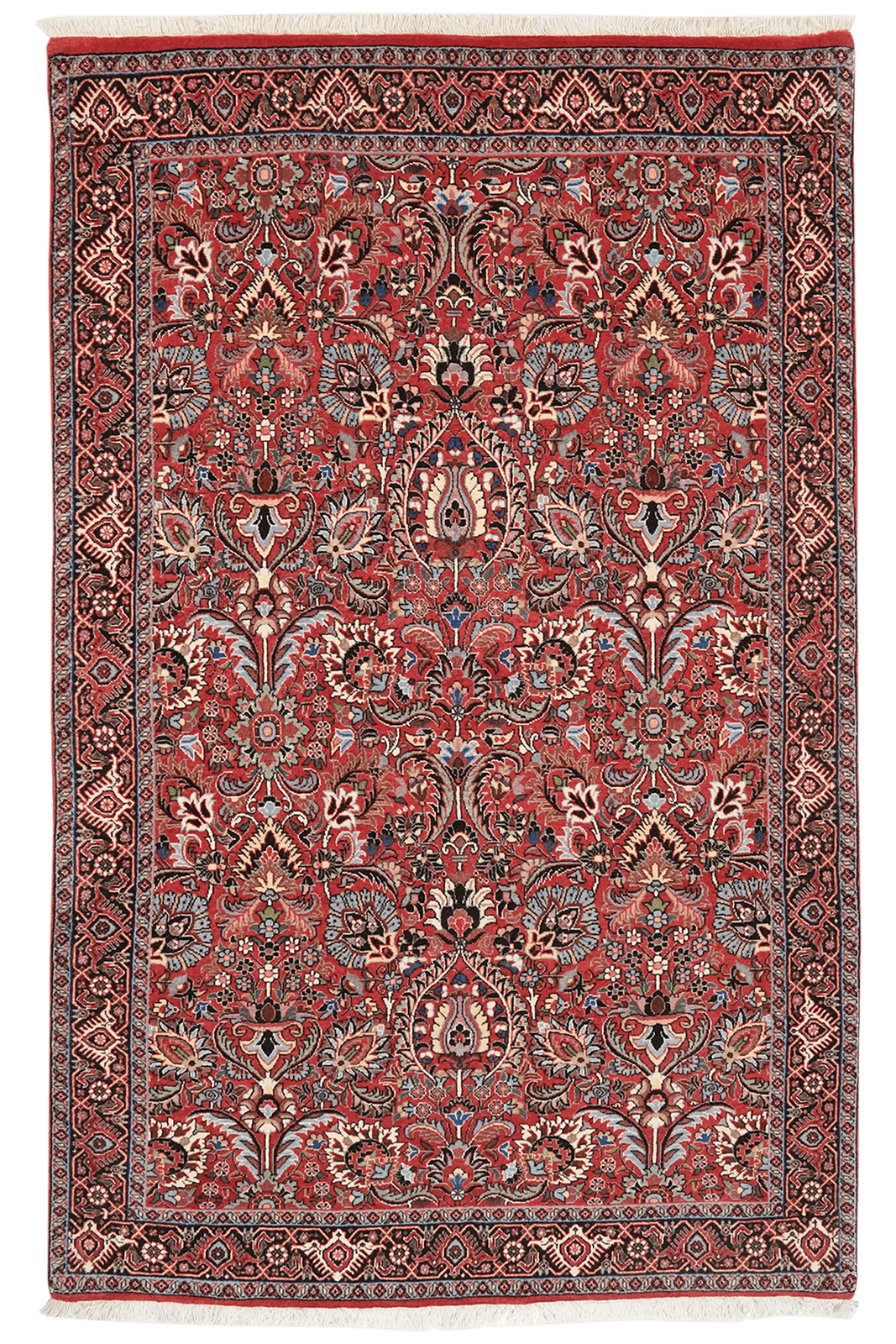 Bidjar Bookan — Hand-knotted, 112x176 cm, Red, 100% Virgin Wool | Main view