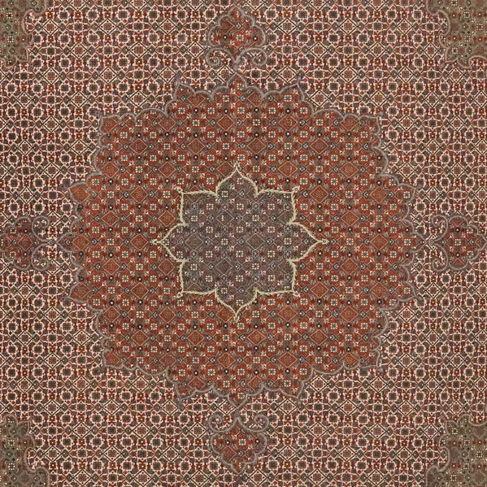 Tabriz 50 Raj — Hand-knotted, 244x248 cm, Brown, 100% Virgin Wool | View 4