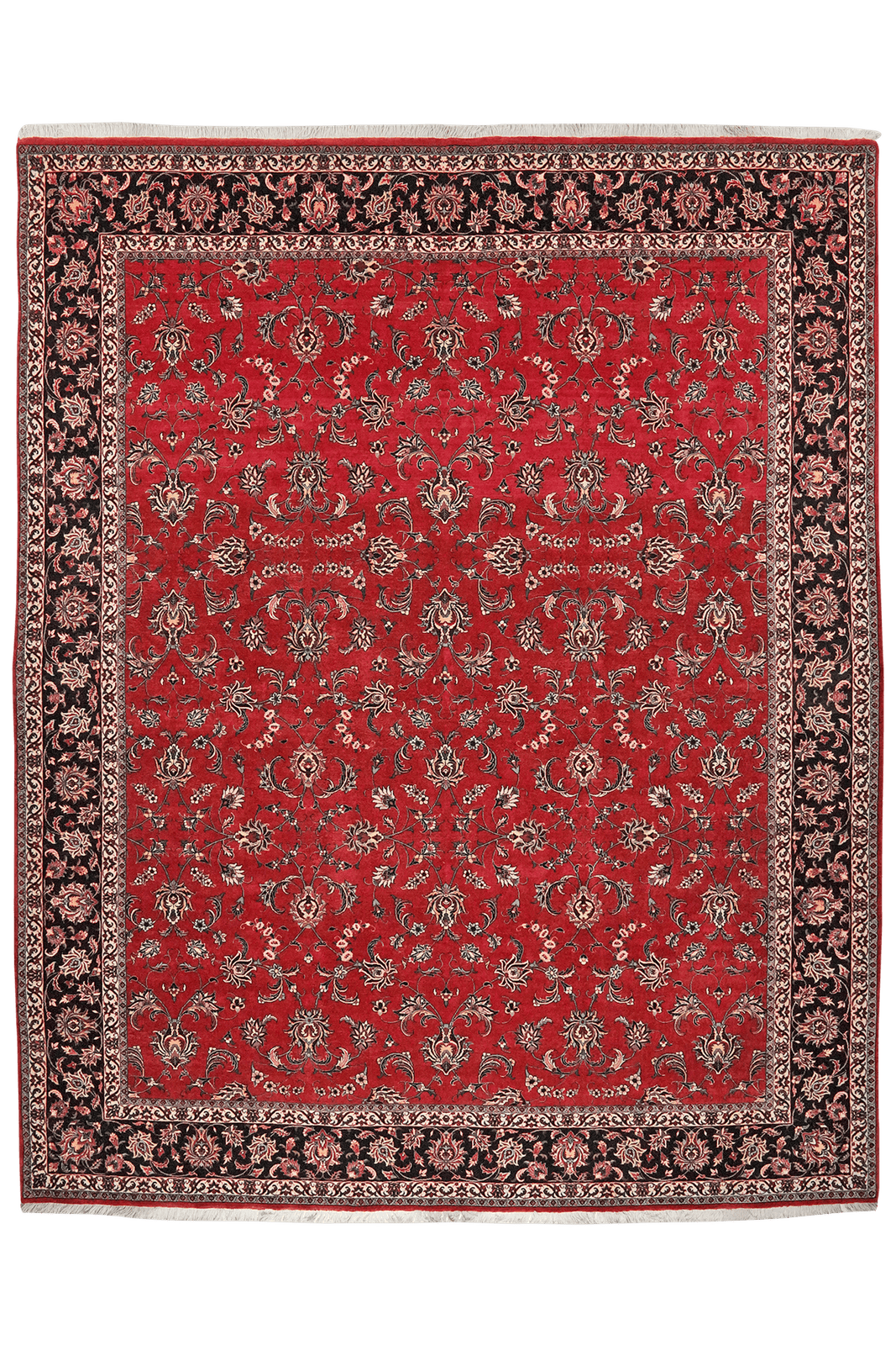 Bidjar — Hand-knotted, 251x311 cm, Red, 100% Virgin Wool | Main view