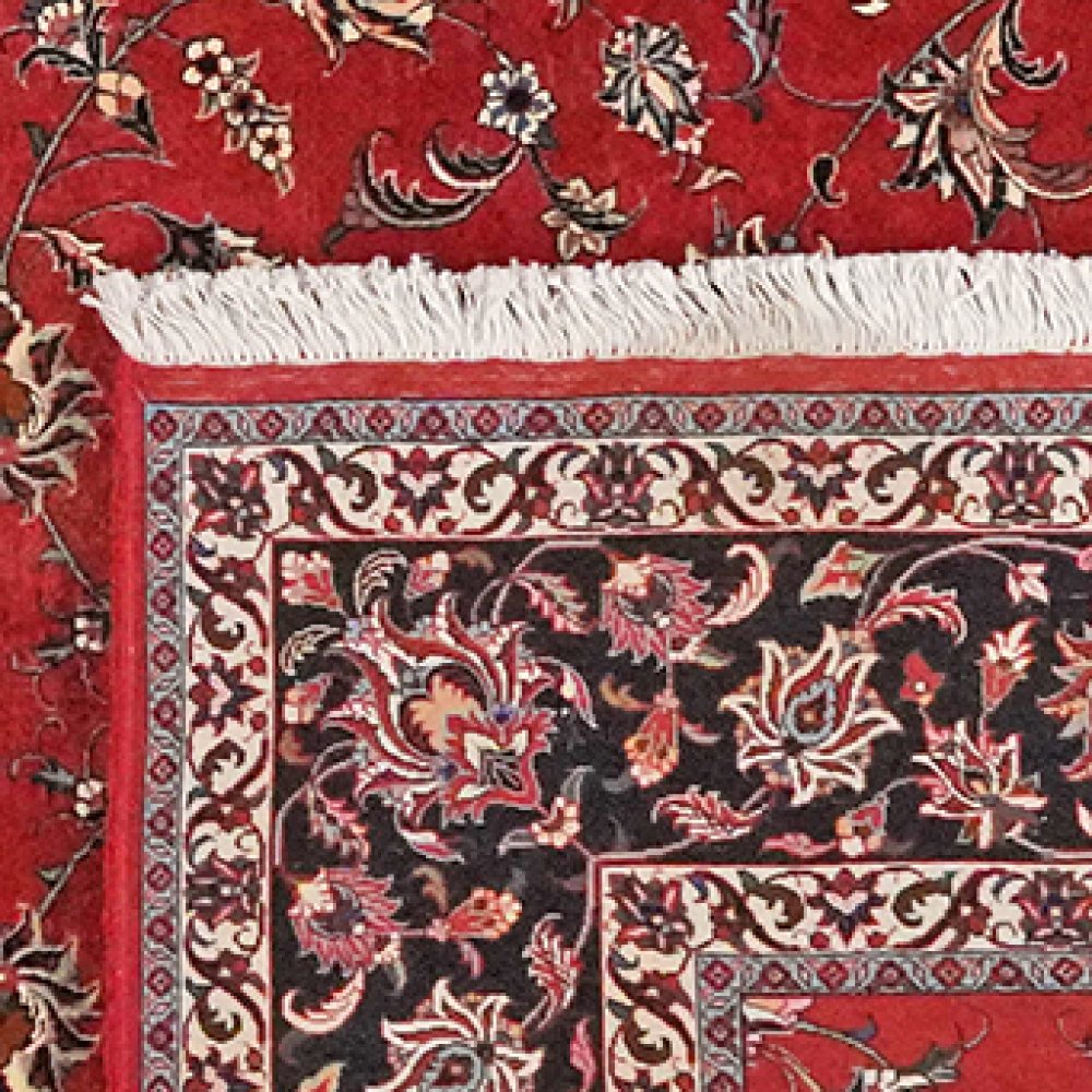 Bidjar — Hand-knotted, 251x311 cm, Red, 100% Virgin Wool | View 6