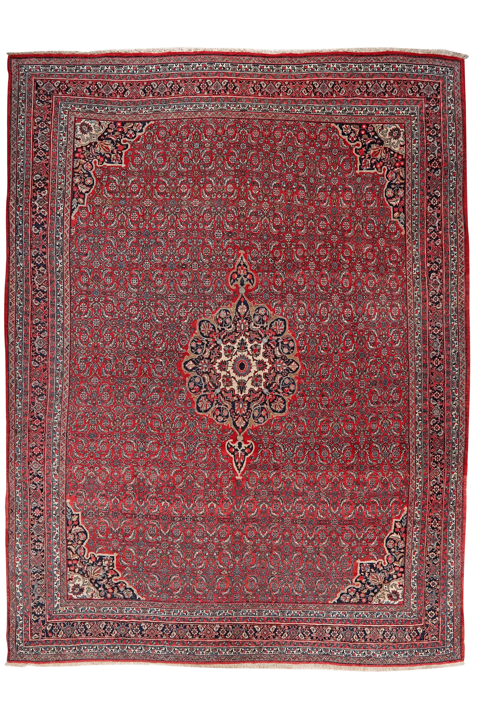 Bidjar — Hand-knotted, 270x350 cm, Red, 100% Virgin Wool | Main view