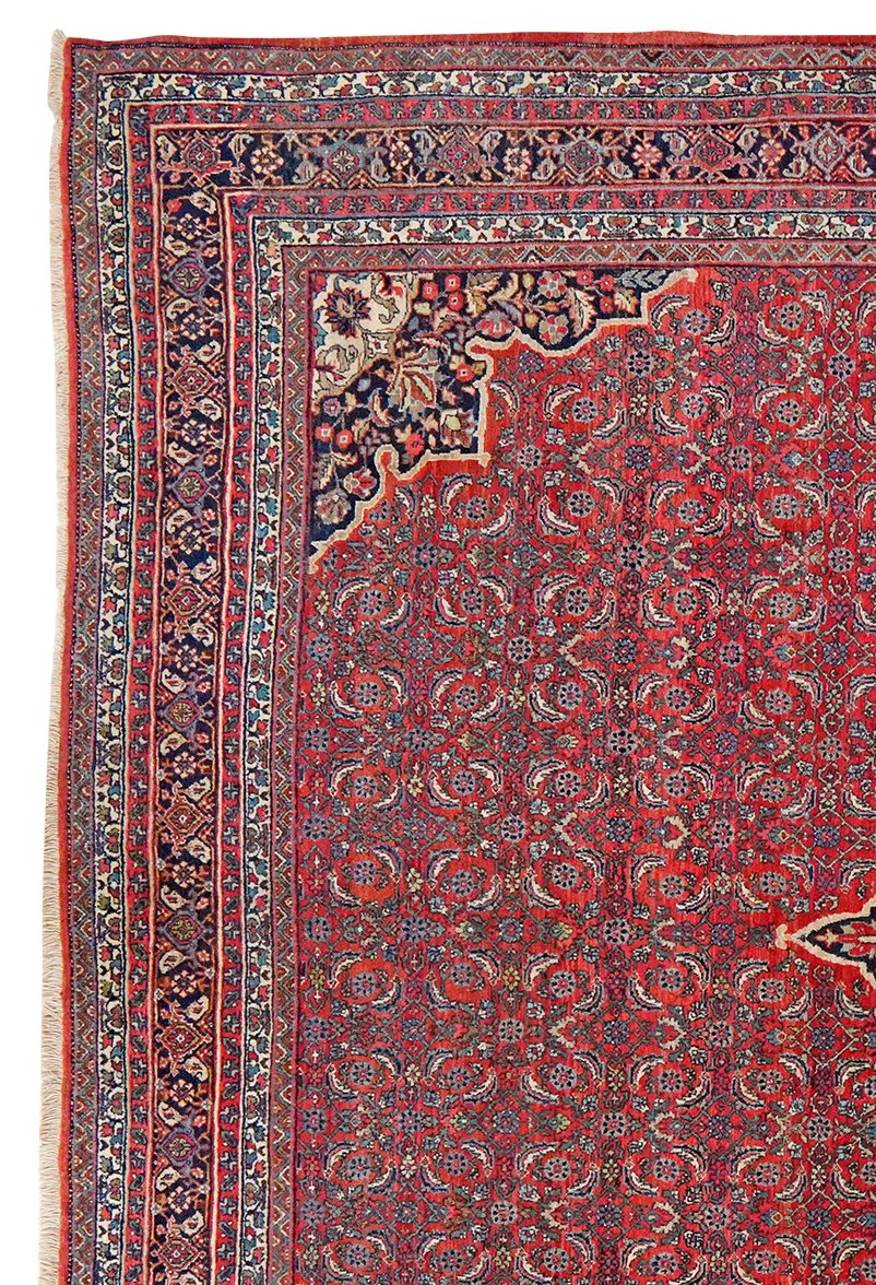 Bidjar — Hand-knotted, 270x350 cm, Red, 100% Virgin Wool | View 3