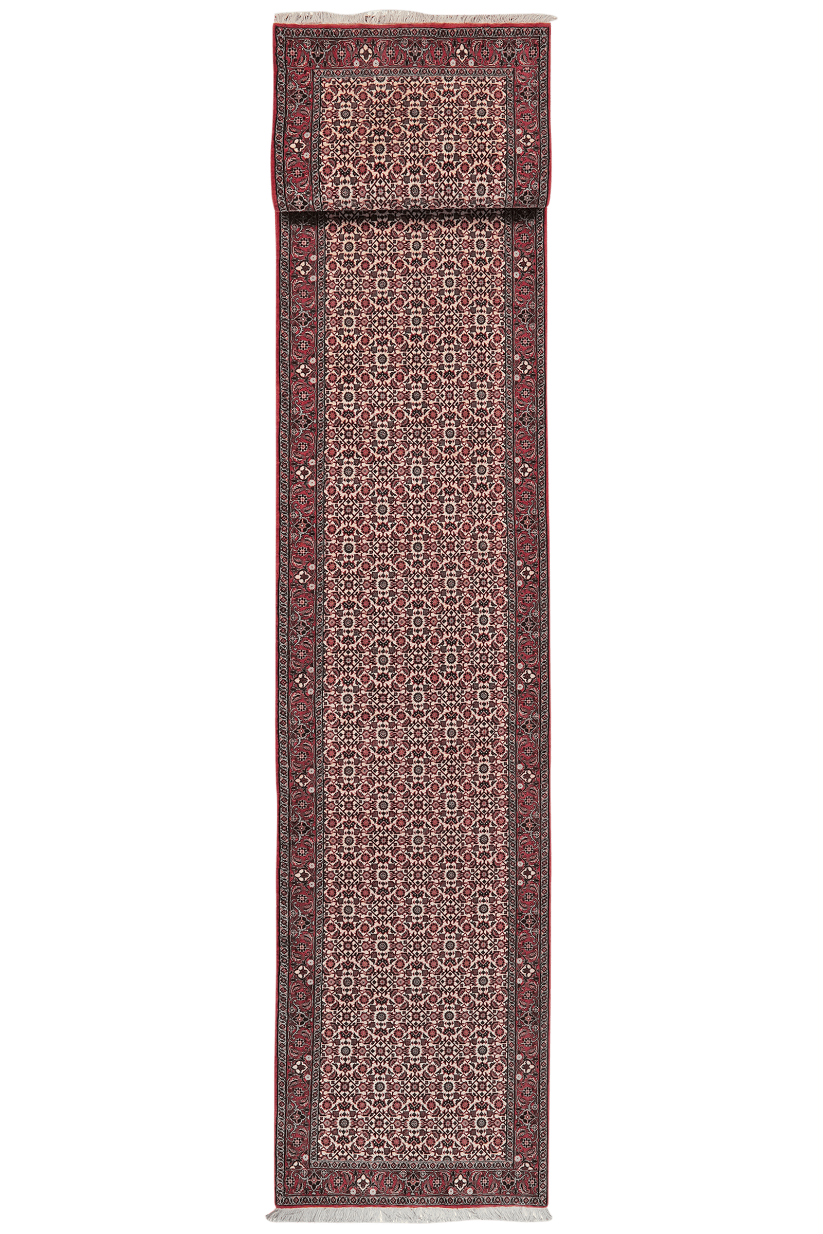 Bidjar — Hand-knotted, 82x484 cm, Beige, 100% Virgin Wool | Main view